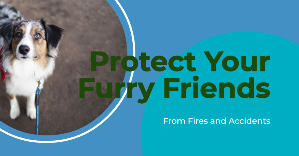 Pet Safety and Fire Blankets Protecting our furry friends during fires.