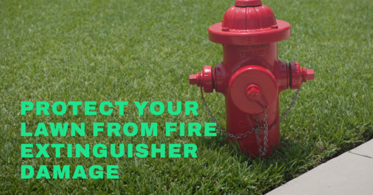 Will Fire Extinguisher Kill Grass? | Facts and Tips